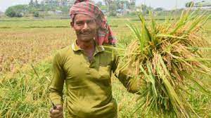 বাংলাদেশের কৃষক রচনা । Essay on Farmers of Bangladesh