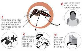 ডেঙ্গু জ্বর রচনা । Essay on Dengue fiber
