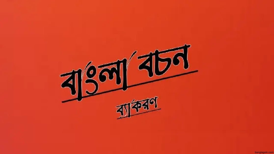 বহুবচন গঠনের নিয়ম ও উদাহরণ