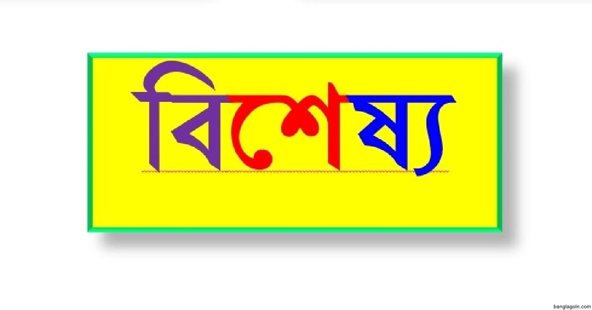 বিশেষ্যের শ্রেণিবিভাগ