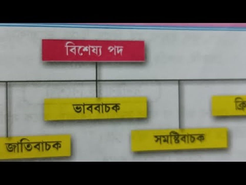 বিশেষ্যের শ্রেণিবিভাগ