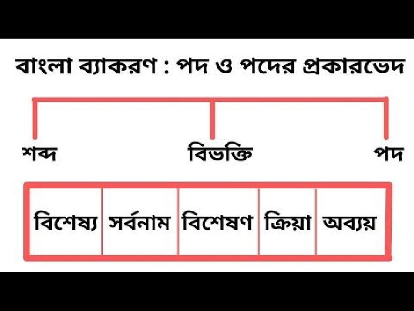 শব্দ ও পদের কর্ম অনুশীলনী