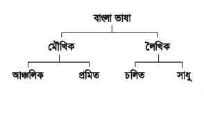 সাধু ও চলিত রীতির পার্থক্য