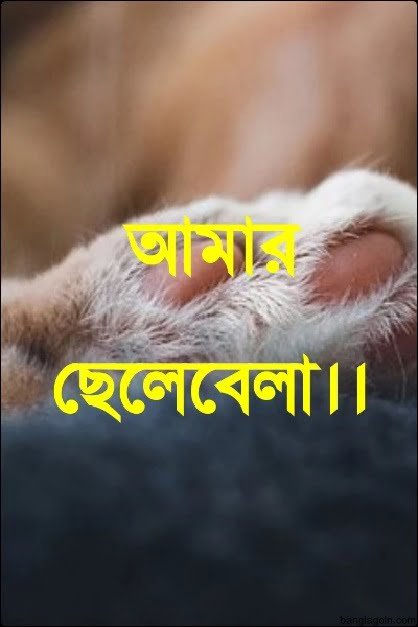 আমার ছেলেবেলা