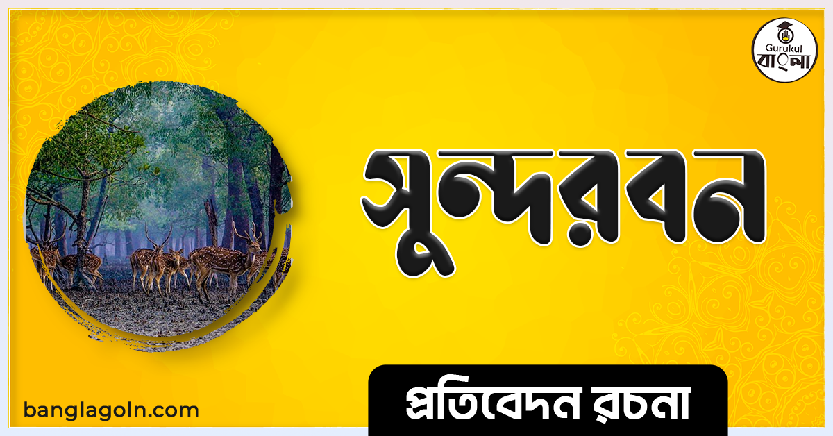 সুন্দরবন রচনা । Essay on Sundarban