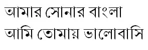 Nikosh Light Bangla Font [ নিকষ লাইট বাংলা ফন্ট ]