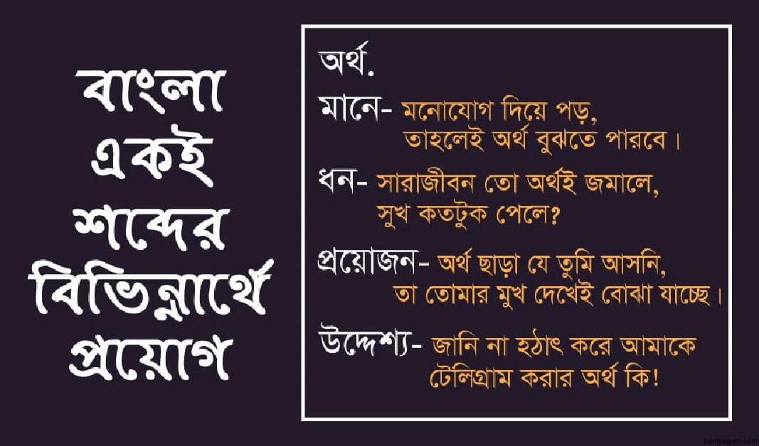 একই শব্দ বিভিন্ন অর্থে প্রয়োগ করে বাক্য রচনা