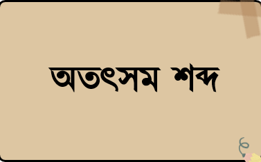 অতৎসম শব্দ
