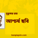 আশ্চর্য ছবি | সুকুমার রায়